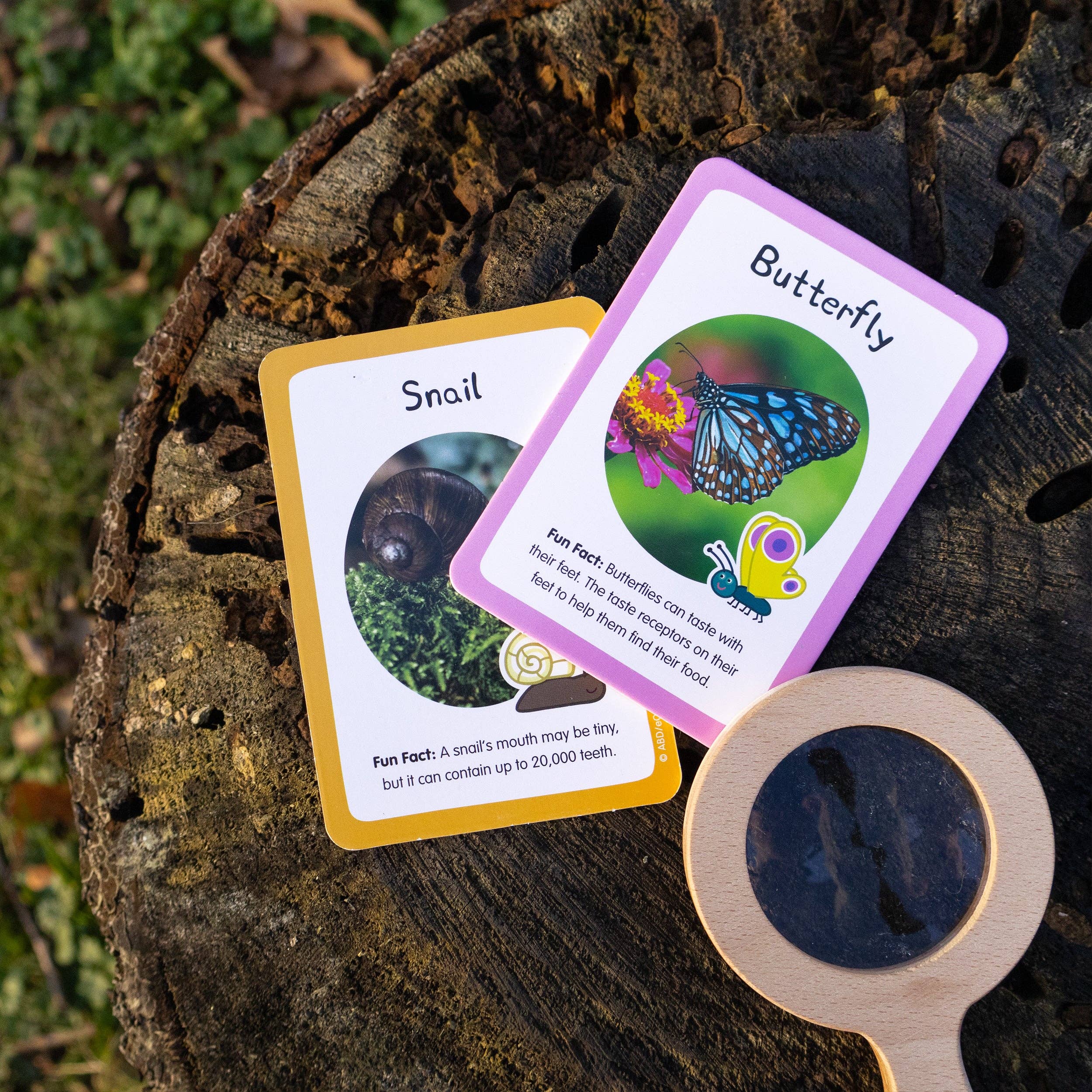 Peppa Gris Bug Spotter aktivitetssettet