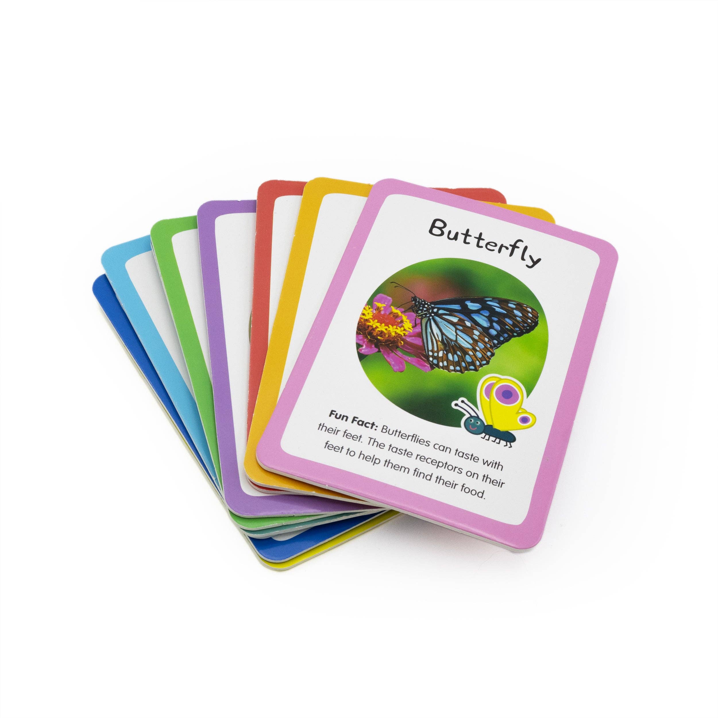 Peppa Gris Bug Spotter aktivitetssettet